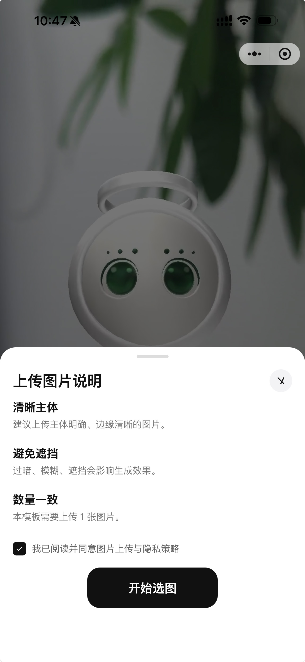 PikaPio 小程序端模板创作与内容编辑页面